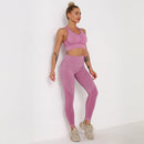 2Pcs Seamless Yoga Set Sport Suit (Activewear)