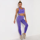 2Pcs Seamless Yoga Set Sport Suit (Activewear)